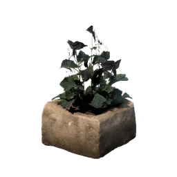 Large Stone Planter