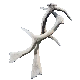 Antler