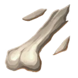 Bone Fragments