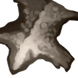 Large Rough Animal Hide