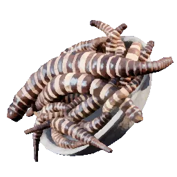 Horse Stinger Larvae